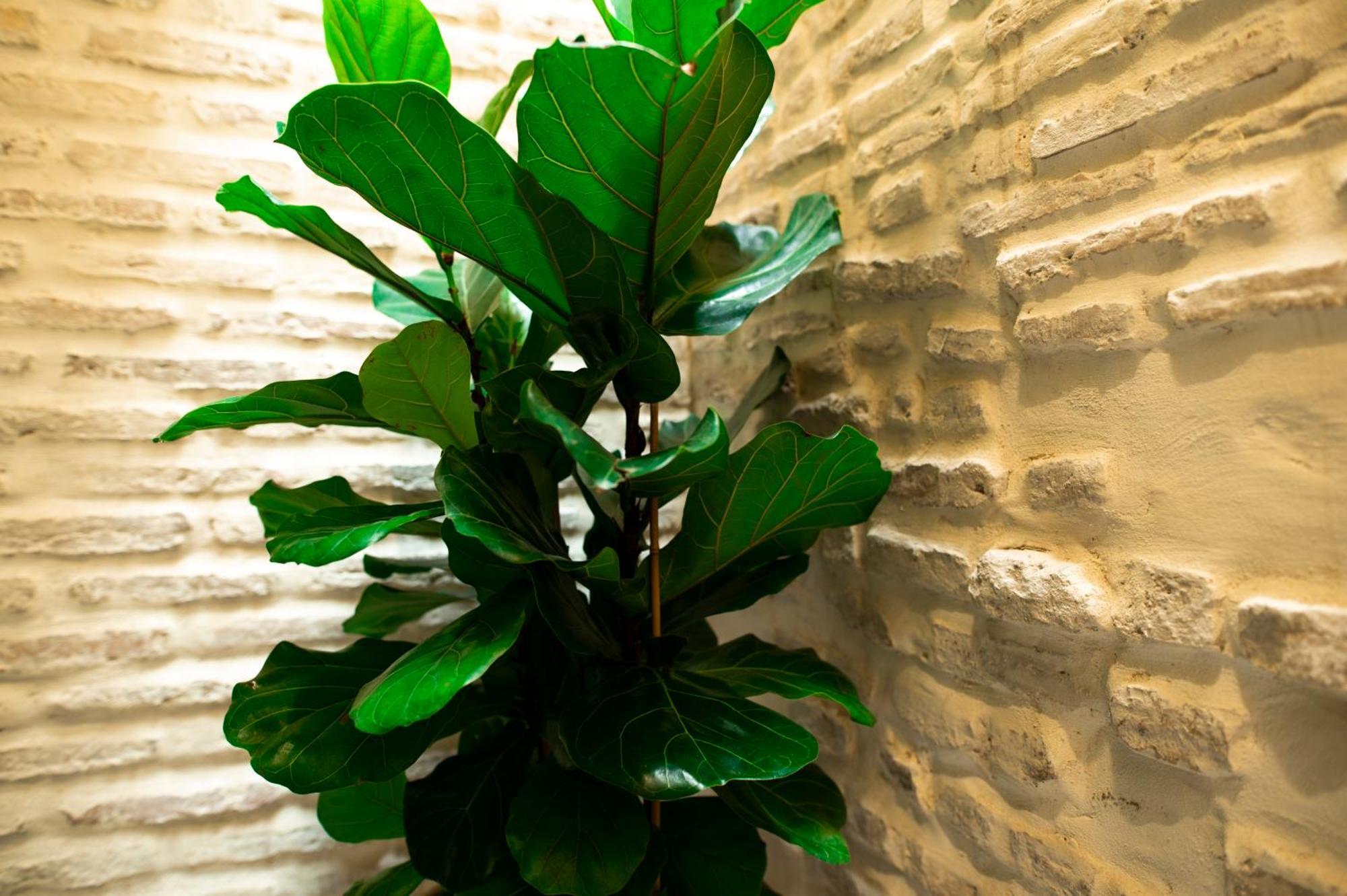 Legado Magdalena Hotel Sevilla Kültér fotó